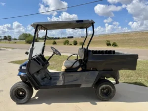 2017 Cushman Hauler 1200X Gas Carbureted for Sale 3 webp